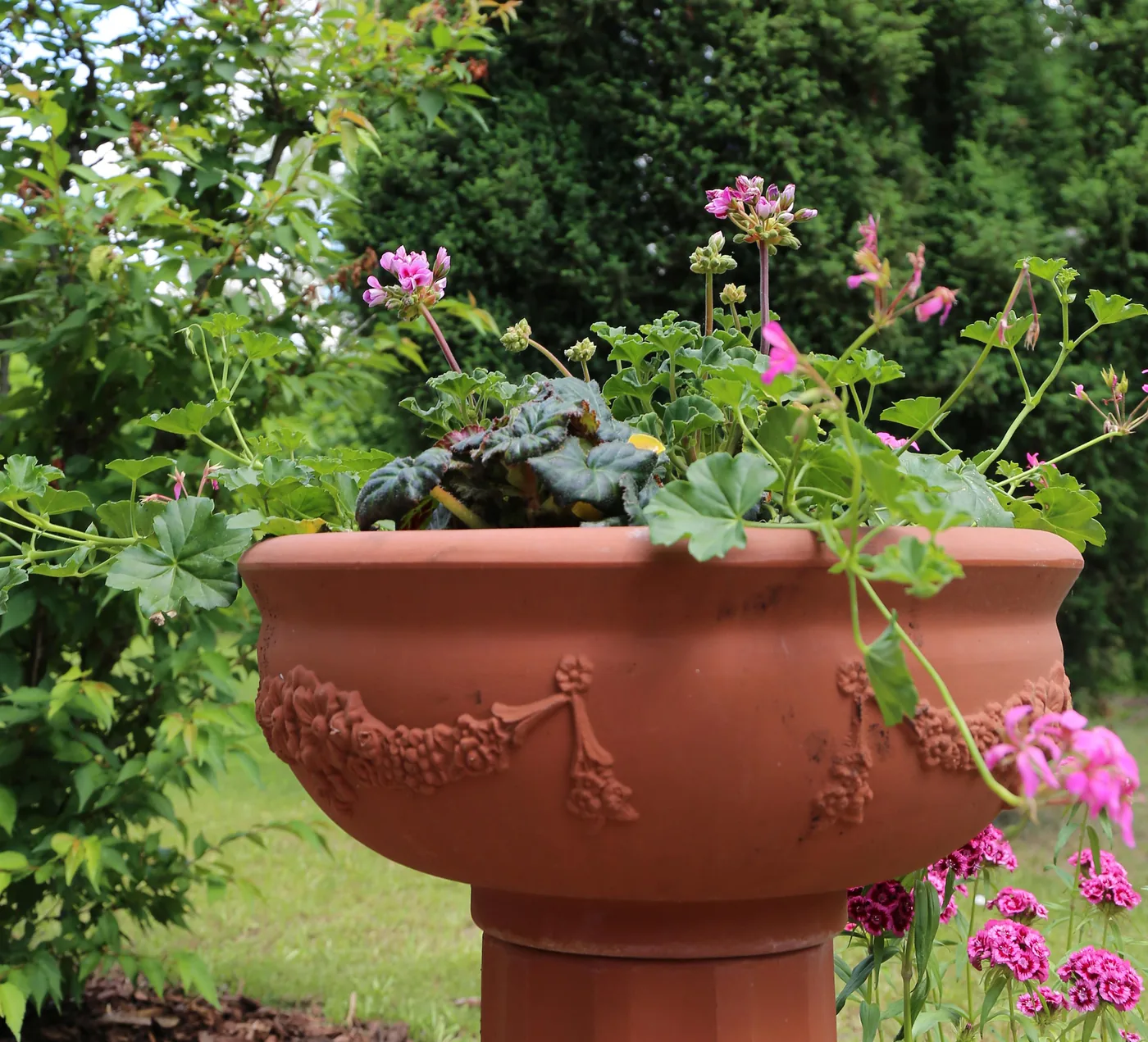Blumen im Garten des Landhauses