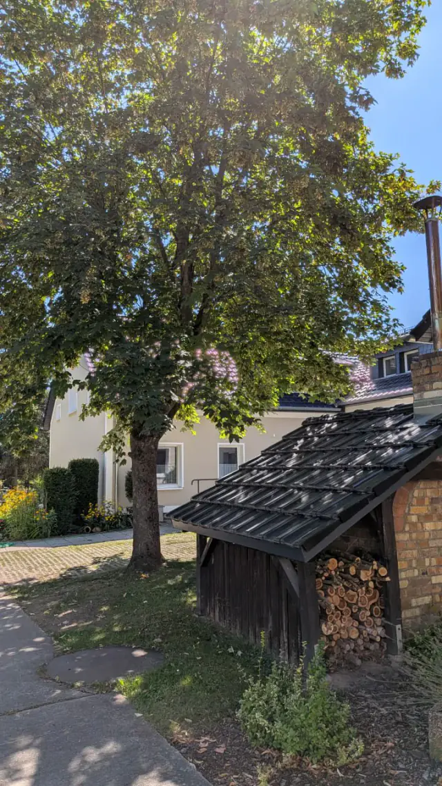 Domek z piecem między drzewami a Landhaus